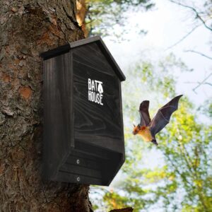 Bat Houses for Outdoors - 15" Big Bat Box 2 Chamber Cedar Wood Bat Houses for Outside & Tree - Perfectly Designed to Attract Bats - Easy to Land and Roost (Black)