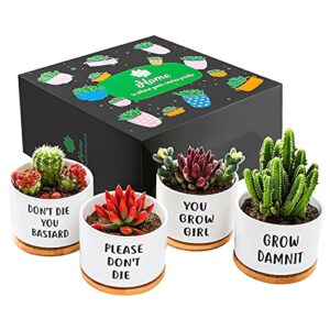 gemwave small succulent pots, ceramic pot planters cute office kitchen home decor gift for coworkers handmade small plant pot for indoor set of 4 cool women gifts for plant lovers