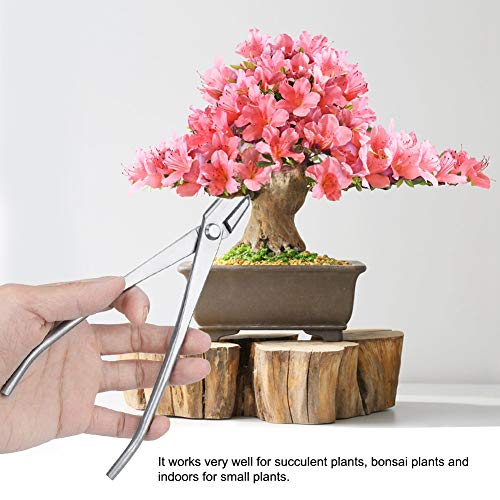 Demeras Knob Cutter Ergonomic Handle Bonsai Tools Gardening Supplies Garden for Home