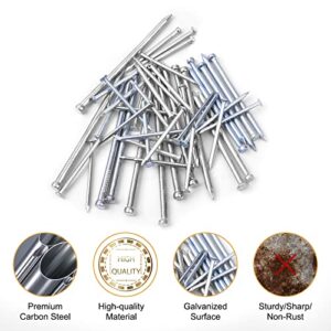 VIGRUE 930Pcs Hardware Nails for Hanging Pictures & Mini Claw Hammer Set, Hammer with Anti-Slip Handle, 430 Finishing Head Nails & 500 Wall Head Nails Galvanized Nails, 10 Size Assortment