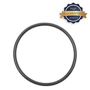 (8 Pack) Exact Replacement Pentair R172009 Lid O-Rings - Compatible with Pentair Rainbow Automatic Chlorine Feeder Models 300 and 320 - Chlorine Resistant Viton O-Rings Last 4X Longer