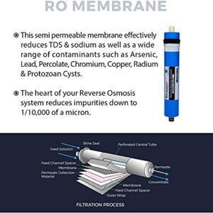 LiquaGen - 200 GPD Water Saver Upgrade Kit - Aquarium Reef/Reverse Osmosis Membrane + Full Membrane Housing Kit | RO Water Purification Replacement Filter Kit for Under Sink or Countertop Use