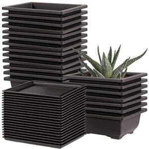 20 Packs 6.5 Inches Bonsai Training Pots, Plastic Bonsai Tree Pots with 20 PCS Trays, Rectangular Bonsai Pots Planters, Black2