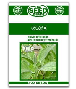 sage seeds - 100 non-gmo seeds, garden seeds, herb seeds, the seed plant