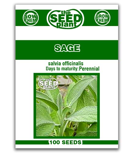 Sage Seeds - 100 Non-GMO Seeds, Garden Seeds, Herb Seeds, The Seed Plant