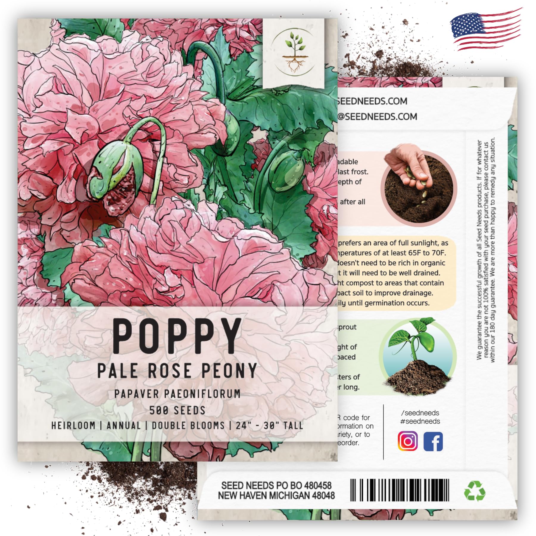 Seed Needs, Pale Rose Peony Poppy Seeds - 500 Heirloom Seeds for Planting Papaver paeoniflorum - Beautiful Pink Ruffled Blooms to Attract Butterflies to The Garden (1 Pack)