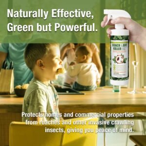 EcoRaider Roach Killer and Repellent (16oz), Fast Kill & Lasting Repellency, Green & Non-Toxic