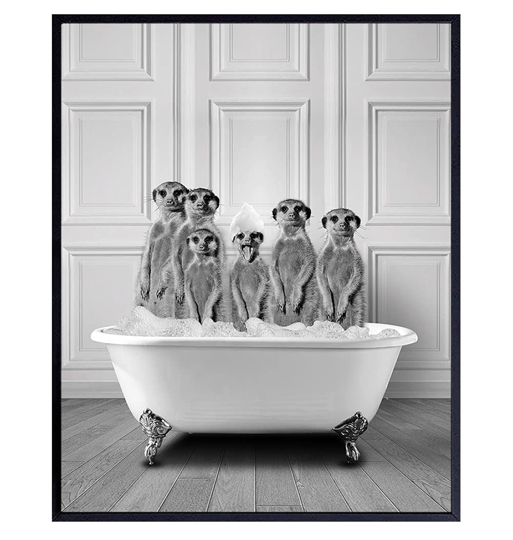 Bathroom Wall Decor - Funny Bathroom Decor - Bathroom Wall Art - Meerkat Bathroom Decorations Pictures - Bath Wall Decor - Modern Bathroom Accessories - Guest Bathroom - Restroom Sign - Powder Room