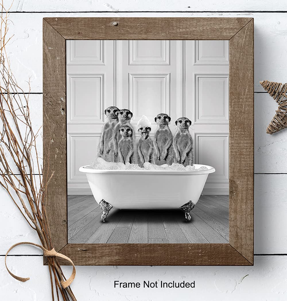 Bathroom Wall Decor - Funny Bathroom Decor - Bathroom Wall Art - Meerkat Bathroom Decorations Pictures - Bath Wall Decor - Modern Bathroom Accessories - Guest Bathroom - Restroom Sign - Powder Room