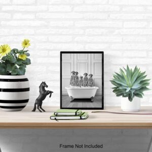 Bathroom Wall Decor - Funny Bathroom Decor - Bathroom Wall Art - Meerkat Bathroom Decorations Pictures - Bath Wall Decor - Modern Bathroom Accessories - Guest Bathroom - Restroom Sign - Powder Room