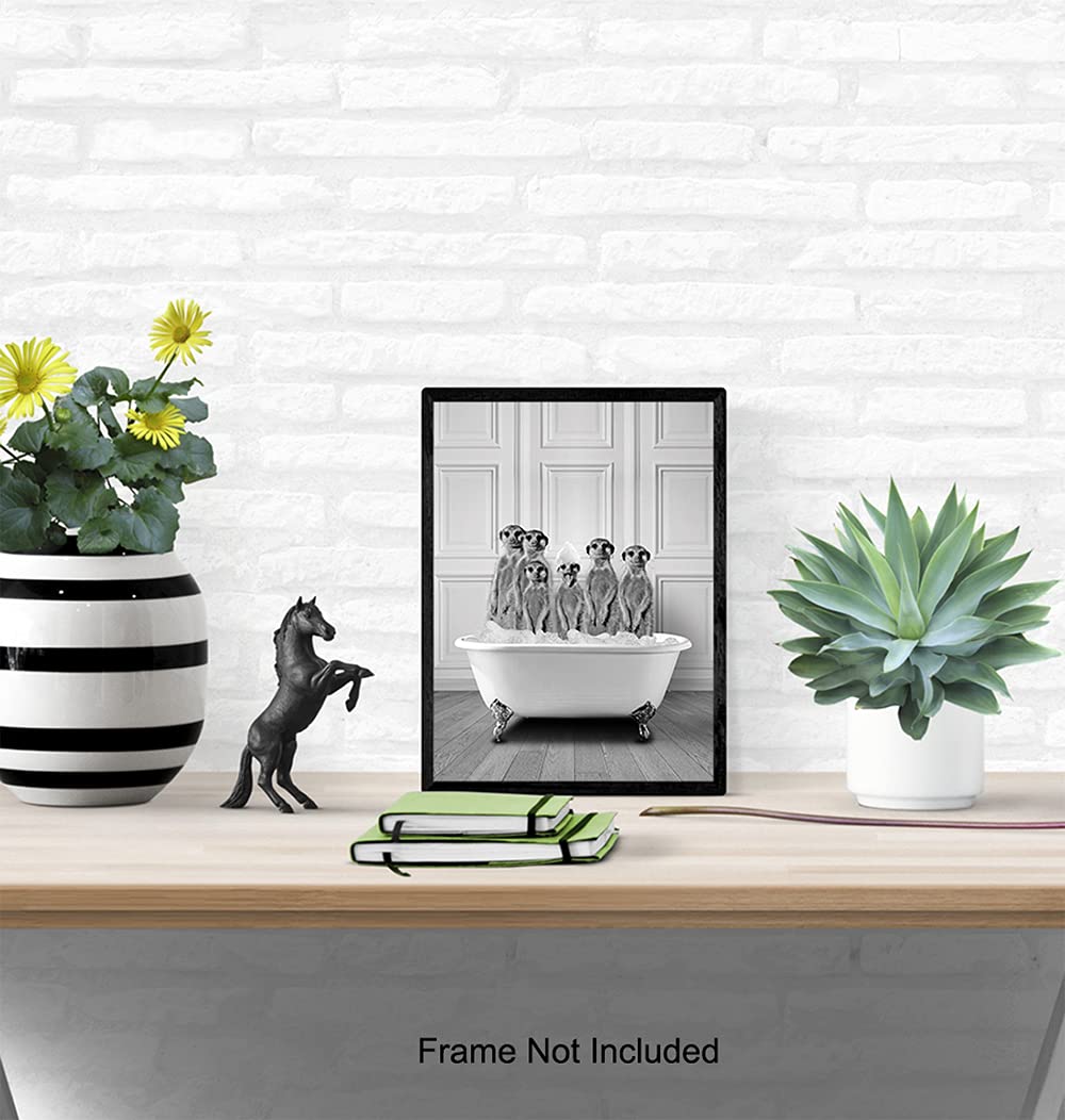 Bathroom Wall Decor - Funny Bathroom Decor - Bathroom Wall Art - Meerkat Bathroom Decorations Pictures - Bath Wall Decor - Modern Bathroom Accessories - Guest Bathroom - Restroom Sign - Powder Room