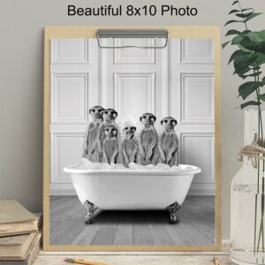 Bathroom Wall Decor - Funny Bathroom Decor - Bathroom Wall Art - Meerkat Bathroom Decorations Pictures - Bath Wall Decor - Modern Bathroom Accessories - Guest Bathroom - Restroom Sign - Powder Room