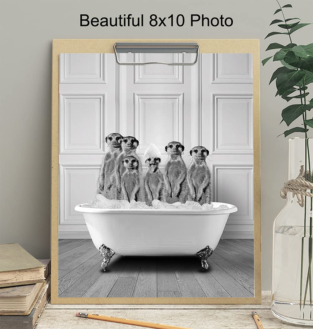 Bathroom Wall Decor - Funny Bathroom Decor - Bathroom Wall Art - Meerkat Bathroom Decorations Pictures - Bath Wall Decor - Modern Bathroom Accessories - Guest Bathroom - Restroom Sign - Powder Room