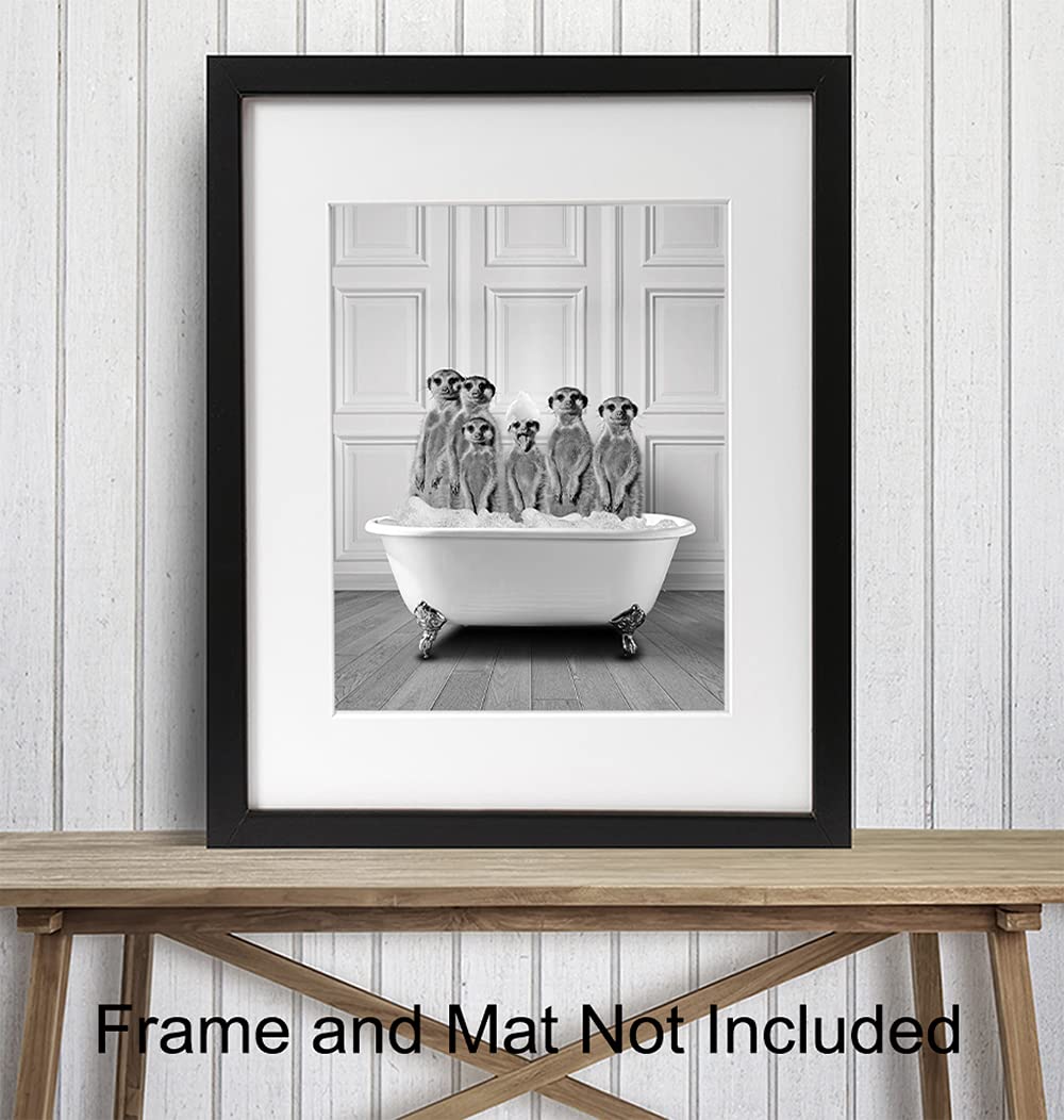 Bathroom Wall Decor - Funny Bathroom Decor - Bathroom Wall Art - Meerkat Bathroom Decorations Pictures - Bath Wall Decor - Modern Bathroom Accessories - Guest Bathroom - Restroom Sign - Powder Room