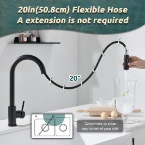 APPASO Black Kitchen Faucet, Modern Kitchen Faucet with Pull Down Sprayer Matte Black, Single-Handle High Arc Gooseneck Modern Kitchen Sink Faucet with Deck Plate