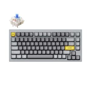 keychron q1 75% layout rgb hot-swappable wired custom mechanical keyboard, qmk/via programmable macro with gateron g pro blue switch double gasket compatible with mac windows linux (grey) -version 2
