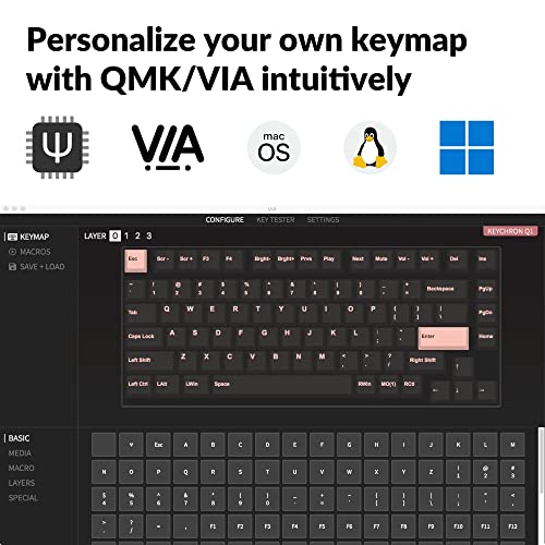 Keychron Q1 75% Layout RGB Hot-swappable Wired Custom Mechanical Keyboard, QMK/VIA Programmable Macro with Gateron G Pro Blue Switch Double Gasket Compatible with Mac Windows Linux (Grey) -Version 2