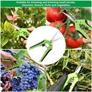 Fixm Pruning Shears for Gardening, Heavy Duty Garden Pruner for Plant, Shrubs, Bonsai Tree. Gardening Hand Scissors Set for Plant Fruit Trimming with Garden Gloves, Grafting Tape, Replacement Spring