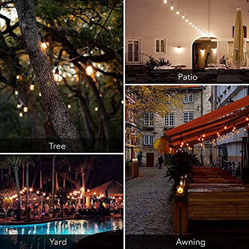 BN-LINK 48ft Outdoor String Lights-Smart Outside String Lights-24 LED Bulbs Dimmable & Shatterproof, 2.4 GHz Wi-Fi & Bluetooth App Control, Works with Alexa/Google Home, IP65 Waterproof & Extendable