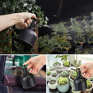 Globalstore Plant Mister, Stainless Steel Plant Mister Spray Bottle, Mini Plant Watering Can, Antique Spray Mister Fancy Plant Spritzer for Indoor Plants Succulents Orchids Air Plants Home Room Decor