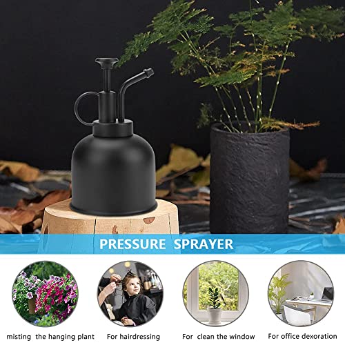 Globalstore Plant Mister, Stainless Steel Plant Mister Spray Bottle, Mini Plant Watering Can, Antique Spray Mister Fancy Plant Spritzer for Indoor Plants Succulents Orchids Air Plants Home Room Decor