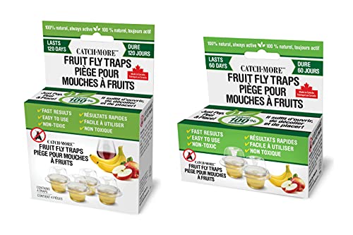 CatchMore Fruit Fly Traps | Effective Fruit Fly Trap for Indoor Use | Always Active (4+2 Bonus Pack)