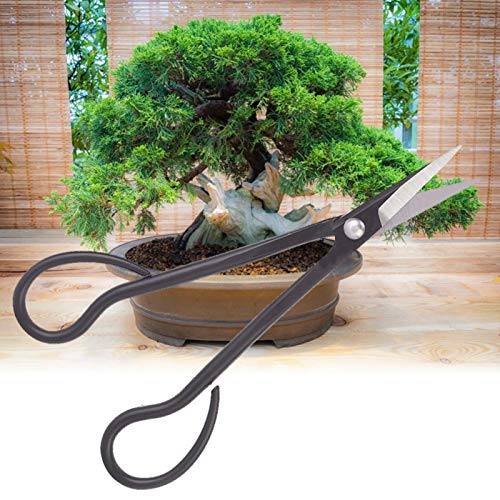 WNSC Bonsai Scissors, High Hardness Garden Scissors Garden Bonsai Tool Anti-Rust for Pruning