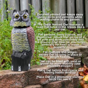 Galashield Owl Decoy to Scare Birds Away Scarecrow Fake Owl with Rotating Head (2 Pack)