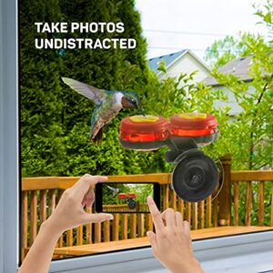 Handheld Small Glass Hummingbird Feeders (Set of 2) with Window Suction Mount Base - Window/Handheld or Tabletop Mini Hummingbird Feeders for Outdoors
