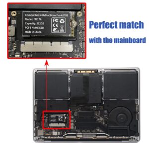 FLEANE FM17A 256GB PCIE 3.0x4 NVME 3D NAND TLC Flash SSD for MacBook Pro Retina A1708 (Late2016 - Mid2017), Included DIY Tools (256GB)