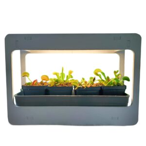 venus fly trap terrarium - for indoor growing - perfect for growing carnivorous plants indoors - 16 hour automatic timer -