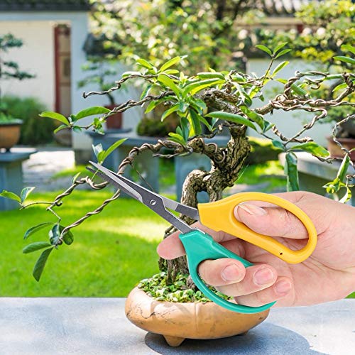 Gardening Shears, Curved Blade Grape Pruning Shears Stainless Steel Bonsai Shears Fruit Branch Picking Scissors