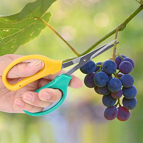 Gardening Shears, Curved Blade Grape Pruning Shears Stainless Steel Bonsai Shears Fruit Branch Picking Scissors