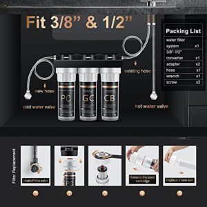 WINGSOL 3-Stage 9-Layer Filtration Water Purification Unit, NSF Certified, Reduces Heavy Metals, Chlorine, Odor, Rust, Benzene, Cyst, P-Dichlorobenzene, Asbestos, MTBE, TTHM, VOC