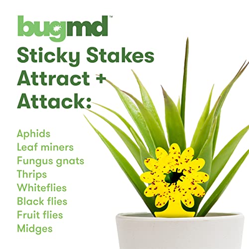 BugMD Sticky Bug Traps (12 Pack) - Indoor Fruit Fly Killer, Fungus Gnat Killer, Plant sticky traps for Bugs, Yellow Sticky Fly Traps for Plants, Gnat for Plants, Odorless