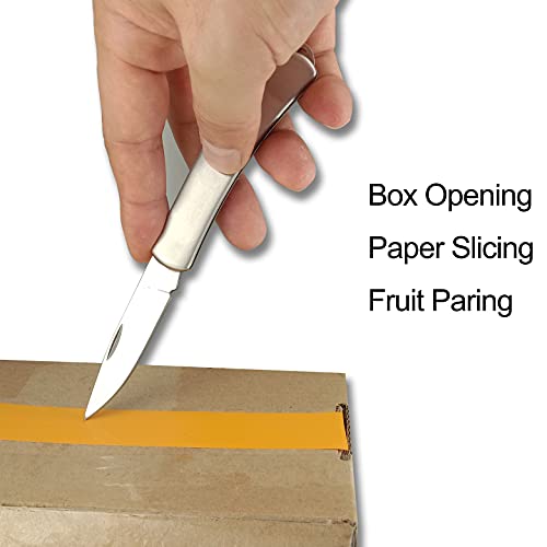 GAJING 2PCS Portable Folding Knife 42 gram With Mirror Polished Stainless Steel Cutter Blade Metallic Color Handle for Cutting Rope,Paper and Boxes For Men in Handbag