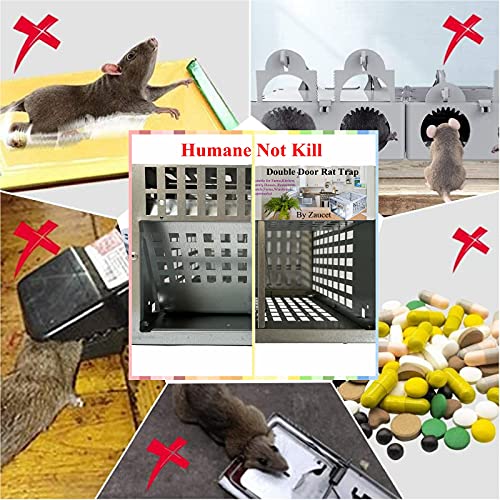 Joozer Humane Rat Trap Live Mouse Trap Indoor Animal Cage Multi Catch and Release 2 Door Large Bait Cage Reusable (Silver)