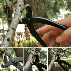 Pruning Shears, Bonsai Tools Bonsai Tool Kit Stainless Steel for Bonsai for Plant for Orchard for Garden