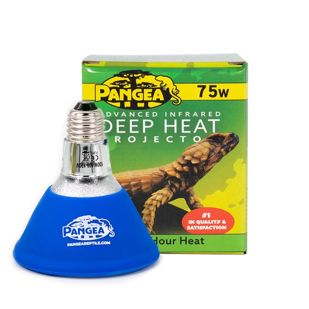 Pangea Deep Heat Projector for Reptiles (75 Watt)