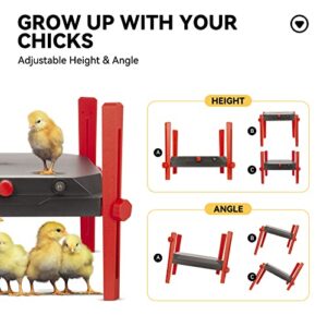 PoultryKit Brooder Heater Plate 12" x 12" for 25 Chicks, Safe DC Powered Chick Brooder, Chicken Heat Plate with LCD Show Temperature, 30W Adjustable Power