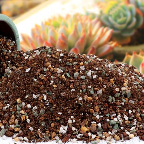 2lb Horticultural Lava Rocks Bonsai Succulent Cactus Potting Soil Mix Planter Drainage Volcanic Stones Air Plant Terrarium Pumice Tiny Gravel Pebbles for Vase Fillers, Fairy Gardening,Top Dressing