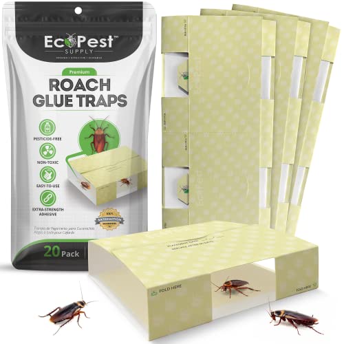 Roach Trap – 20 Pack | Sticky Indoor Glue Traps for Roaches and Other Bugs and Crawling Insects | Adhesive Cockroach Motel, Bait Trap, Monitor, Killer and Detector for Pest Control