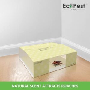 Roach Trap – 20 Pack | Sticky Indoor Glue Traps for Roaches and Other Bugs and Crawling Insects | Adhesive Cockroach Motel, Bait Trap, Monitor, Killer and Detector for Pest Control