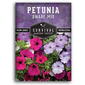 survival garden seeds - dwarf petunia seed mix for planting - packet with instructions to plant and grow colorful flowers to attract pollinators to your home garden - non-gmo heirloom variety