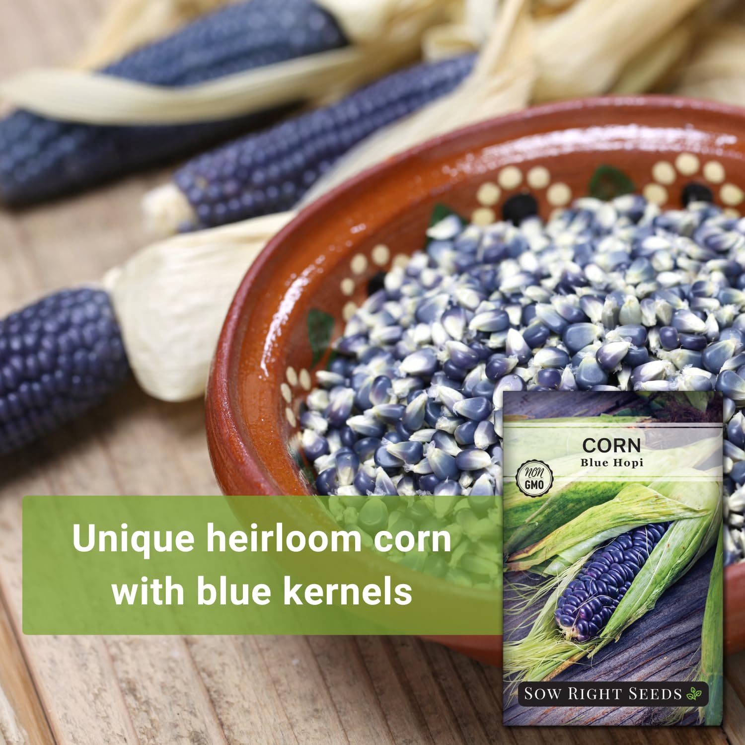 Sow Right Seeds - Blue Hopi Corn Seed for Planting - Non-GMO Heirloom Packet with Instructions to Plant and Grow an Outdoor Home Vegetable Garden - Great for Blue Corn Flour Cooking (1)