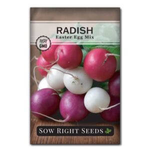 sow right seeds - easter egg mix radish seed for planting - non-gmo heirloom packet with instructions to grow an outdoor home vegetable garden - multi color, fast growing - red, purple, and white (1)