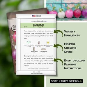 Sow Right Seeds - Easter Egg Mix Radish Seed for Planting - Non-GMO Heirloom Packet with Instructions to Grow an Outdoor Home Vegetable Garden - Multi Color, Fast Growing - Red, Purple, and White (1)