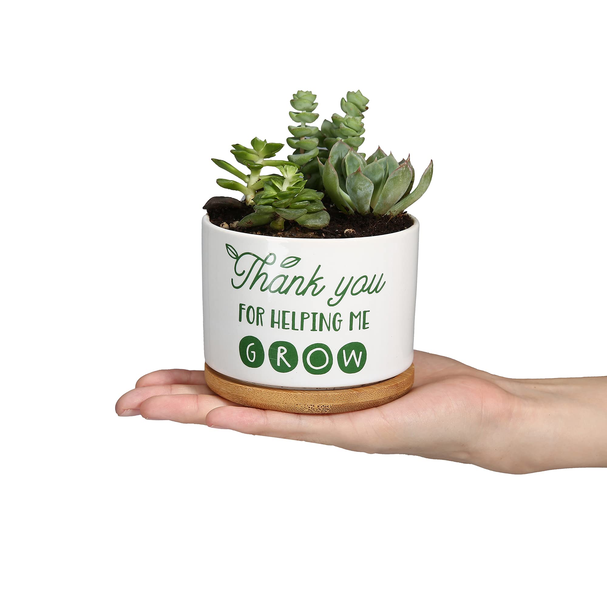 DOMG Teachers Appreciation Gift, Ceramic Succulent Plant Pot Small Flower Planter for Indoor Outdoor Use, Thank You for Helping Me Grow