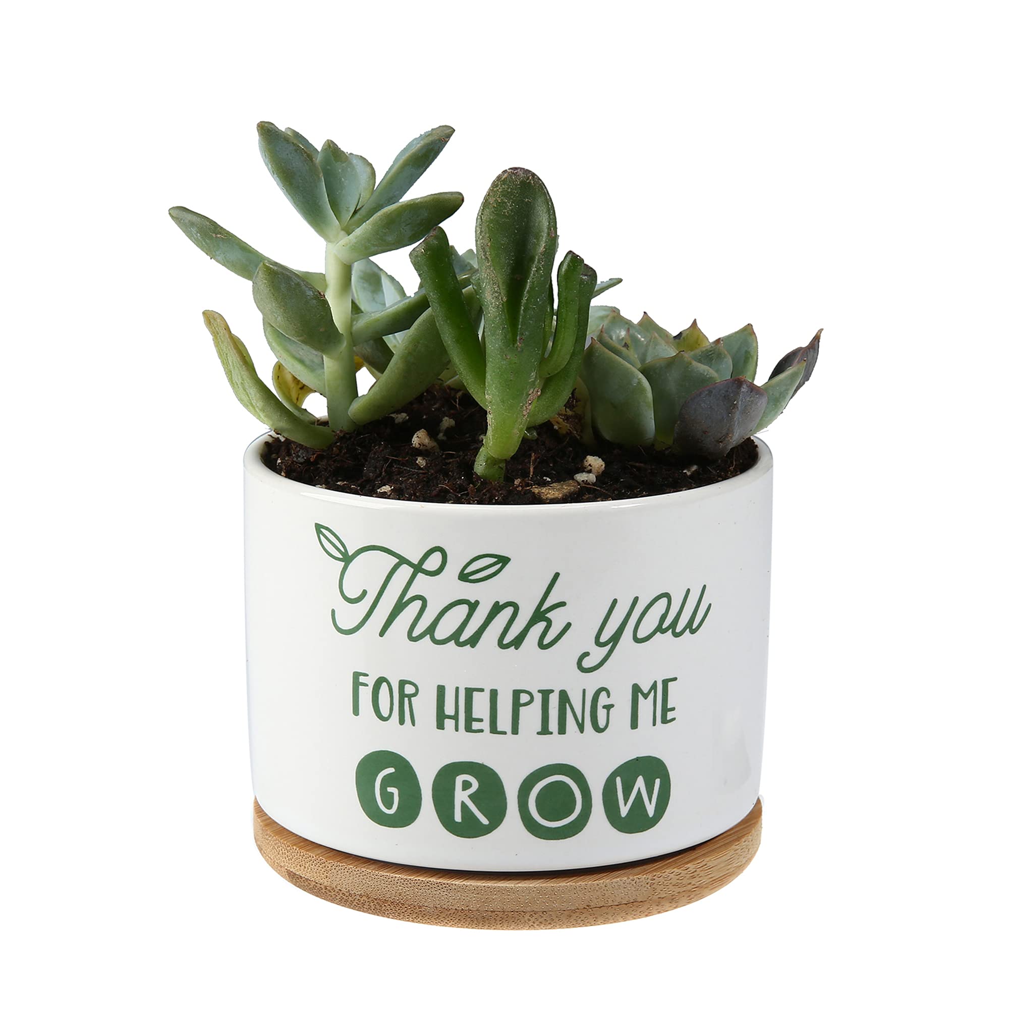 DOMG Teachers Appreciation Gift, Ceramic Succulent Plant Pot Small Flower Planter for Indoor Outdoor Use, Thank You for Helping Me Grow