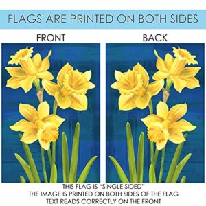 Toland Home Garden 1112545 Daffodils On Blue Spring Flag 12x18 Inch Double Sided Spring Garden Flag for Outdoor House Flower Flag Yard Decoration